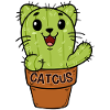Cat Cactus Kitten Cacti