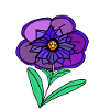 Fleurs pourpres avec fleurs faciales