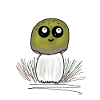 Mushroom Mushrooms Funny Funny Cheerful Kids
