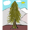 Nadelwald am Bergsonnenglanz