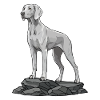 Weimaraner Dog on Rock Portrait