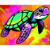 turtle