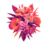 Fleurs tropicales