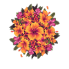 Tropical Hibiscus Circle
