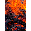 Heart of Embers Macro Poster