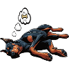 Doberman Doberman Owner Doberman Lovers
