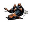 Feeling Dog Tired Doberman Doberman Owner