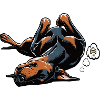 Doberman Doberman Owner Doberman Lovers