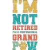 Grand-père professionnel non retraité