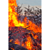 Fire & Flame Easter Fire Poster