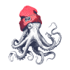 Pillepalle Octopus