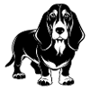 Basset Hound Dog