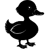 Petit canard