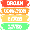 Liver Organ Donor Liver Donation Organ Donor