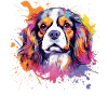 Cavalier King Charles Spaniel Splash Art