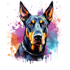 Doberman Pinscher Dog Splash Art