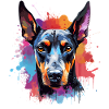 Vivid Doberman Splash Portrait