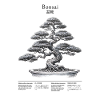 Bonsai Shadow Art with Japanese Characters