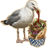 Kebab Seagull
