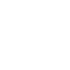 South Carolina Bold State Outline