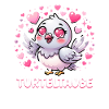 Turteltaube Niedliche Verliebte Taube