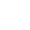 Dachshund white