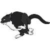 Midnight Leap Noir Cat