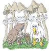 MushroomMorning - Mushroom Picking