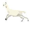 Lama Gaon