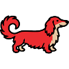 Irish Setter Retriever Red