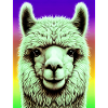 Alpaca