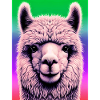 Alpaca