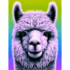 Alpaca