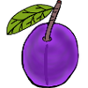 Plum Fruit Fruit Plums Hobby Gardener