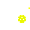 Got it funny pickleball player