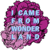 Wonderland Flowers Motif