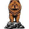 Chien Chow-Chow Portrait Crinière Lion