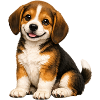 Smiling Beagle Puppy