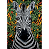 Zebra in the cannabis jungle
