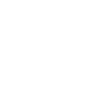 All Panic Maus – No Disco