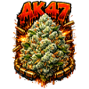 AK47Weed Strain Graffiti Art Print