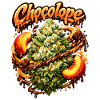 Chocolope Peach Graffiti Art Print