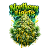 Northern Lights Graffiti Classic Print 