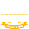Historisk historikers historie