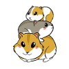 Pyramide de cochons d’Inde hamster mignonne