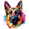 Vivid German Shepherd Splash
