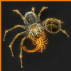 Neon Spider with Funky Tails