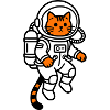 Le chat dans l’espace