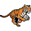 Starker Tiger Mit Fußball Für Fußballfans
