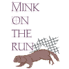 Mink on the run
